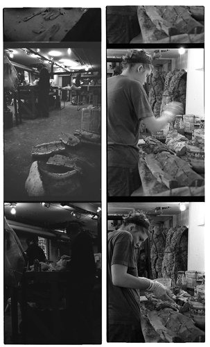 Two Are Halves of One. 2001. In progress proof sheet 12. Darrin Hallowell