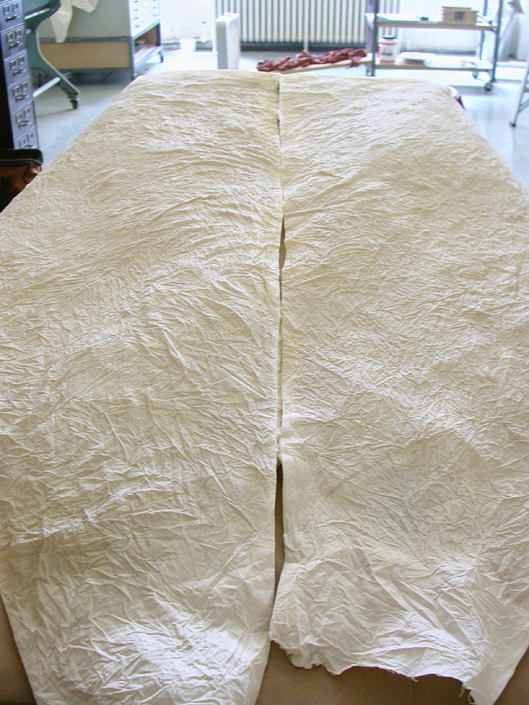 Ariadne’s Clew. 2007. Muslin, resin, thread, iron oxide, stainless steel. 108 x 73 x 108" (dimensions variable). Funnel element pinned for sewing. Darrin Hallowell