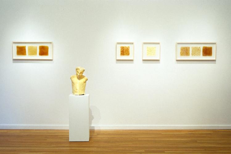 2005-07_B_3D_M_MUL_BredBon1