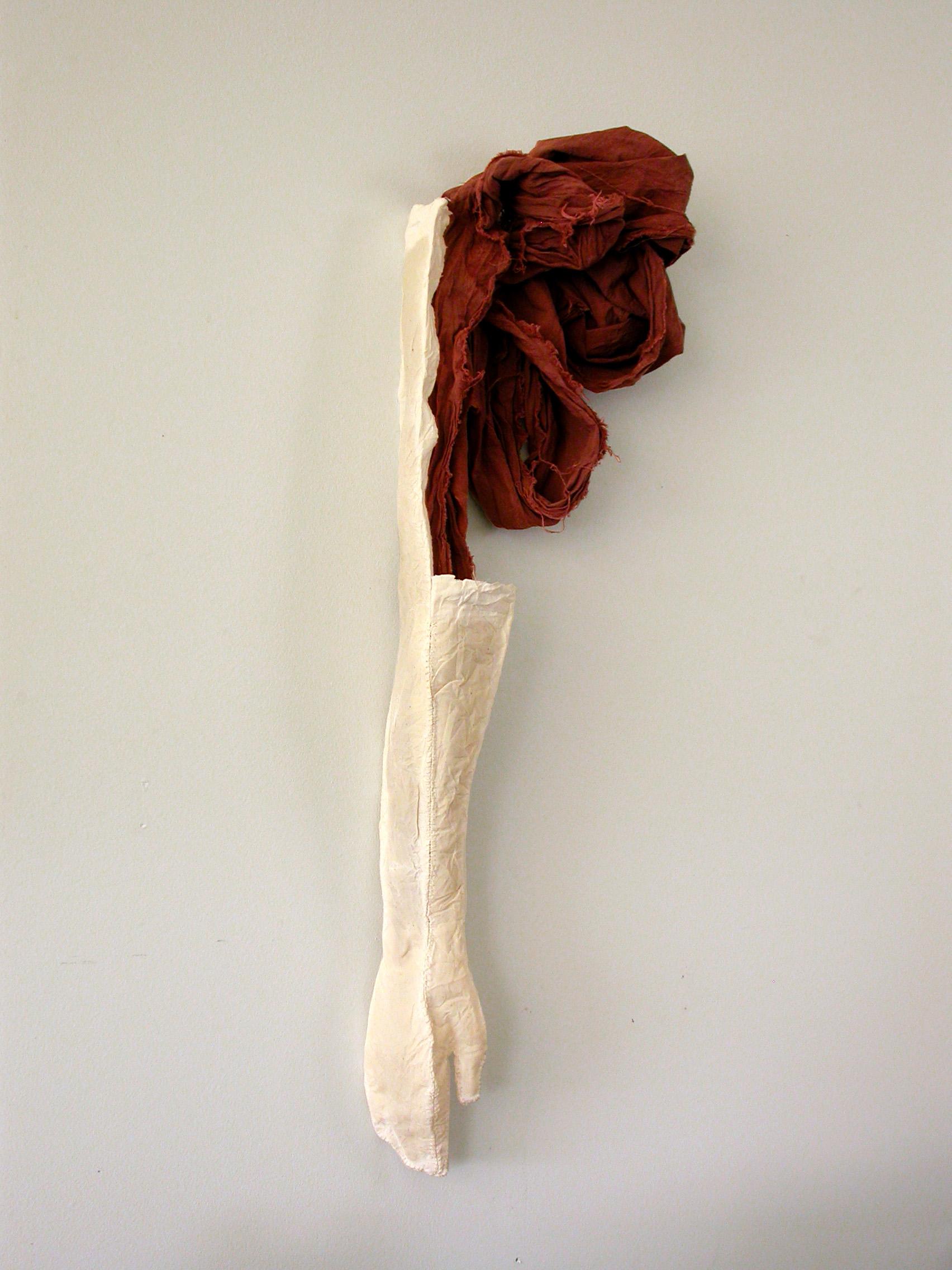 Vestige (Artery). 2007. Muslin, resin, thread, iron oxide. 28 x 9 x 4". Darrin Hallowell